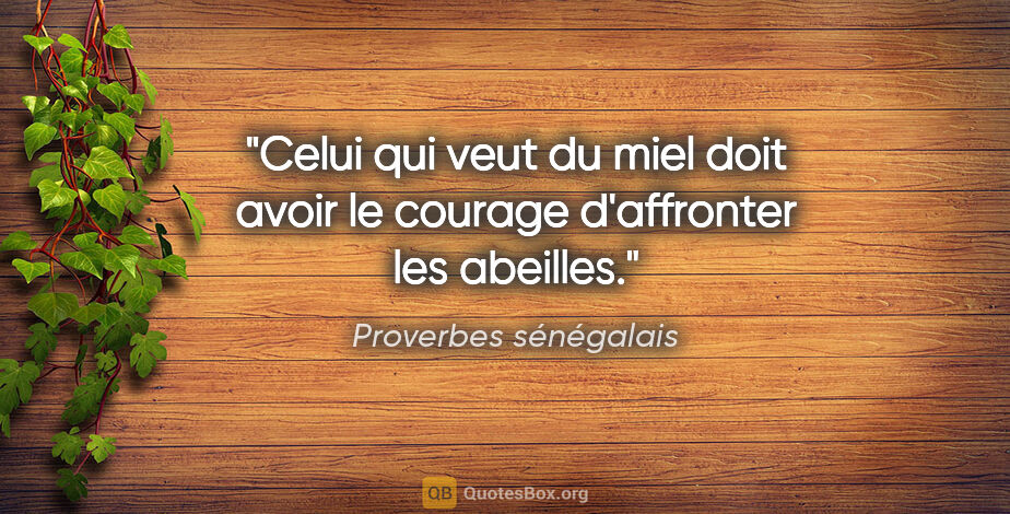 Proverbes sénégalais citation: "Celui qui veut du miel doit avoir le courage d'affronter les..."