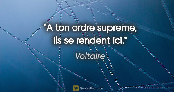 Voltaire citation: "A ton ordre supreme, ils se rendent ici."