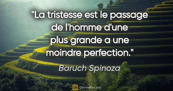 Baruch Spinoza citation: "La tristesse est le passage de l'homme d'une plus grande a une..."
