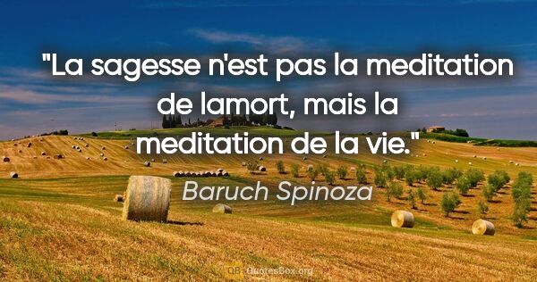Baruch Spinoza citation: "La sagesse n'est pas la meditation de lamort, mais la..."