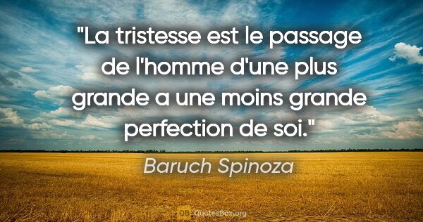 Baruch Spinoza citation: "La tristesse est le passage de l'homme d'une plus grande a une..."