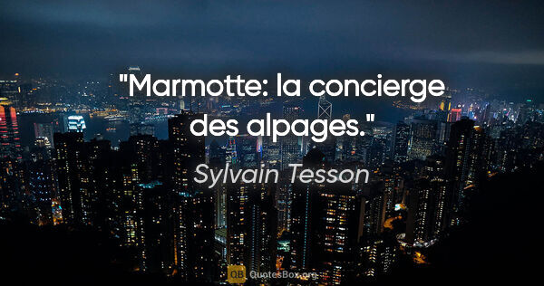 Sylvain Tesson citation: "Marmotte: la concierge des alpages."