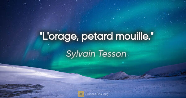 Sylvain Tesson citation: "L'orage, petard mouille."