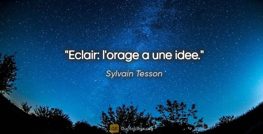 Sylvain Tesson citation: "Eclair: l'orage a une idee."