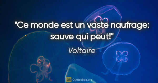 Voltaire citation: "Ce monde est un vaste naufrage: sauve qui peut!"