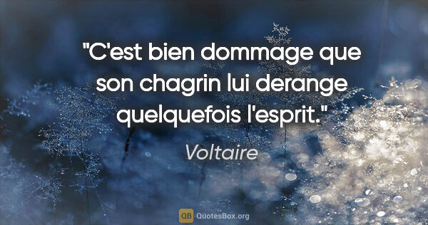 Voltaire citation: "C'est bien dommage que son chagrin lui derange quelquefois..."