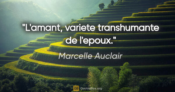 Marcelle Auclair citation: "L'amant, variete transhumante de l'epoux."