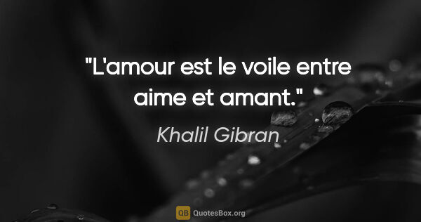 Khalil Gibran citation: "L'amour est le voile entre aime et amant."