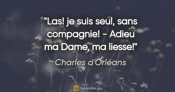 Charles d'Orléans citation: "Las! je suis seul, sans compagnie! - Adieu ma Dame, ma liesse!"