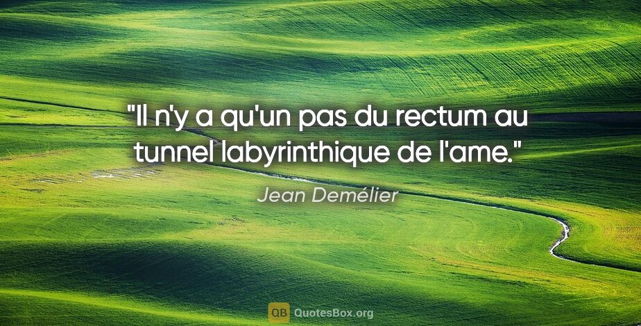 Jean Demélier citation: "Il n'y a qu'un pas du rectum au tunnel labyrinthique de l'ame."