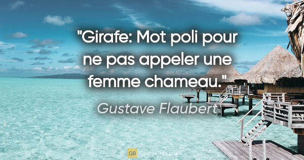 Gustave Flaubert citation: "Girafe: Mot poli pour ne pas appeler une femme chameau."