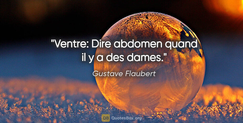 Gustave Flaubert citation: "Ventre: Dire abdomen quand il y a des dames."