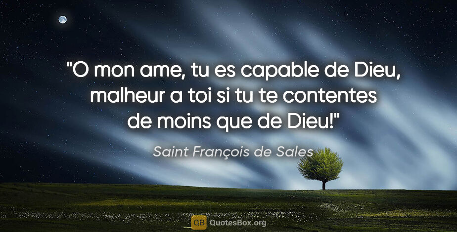 Saint François de Sales citation: "O mon ame, tu es capable de Dieu, malheur a toi si tu te..."