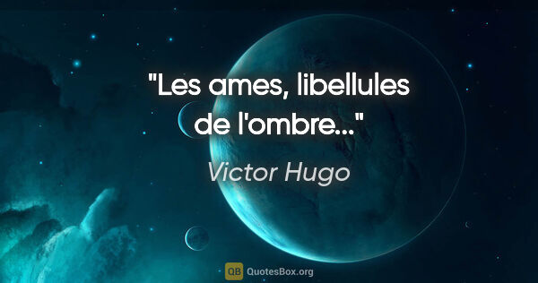 Victor Hugo citation: "Les ames, libellules de l'ombre..."