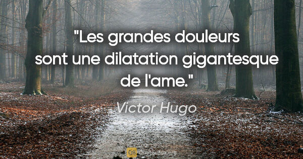 Victor Hugo citation: "Les grandes douleurs sont une dilatation gigantesque de l'ame."