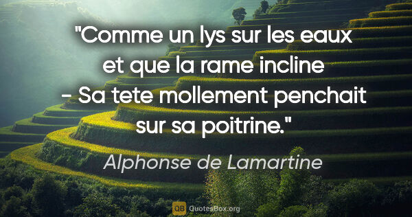 Alphonse de Lamartine citation: "Comme un lys sur les eaux et que la rame incline - Sa tete..."