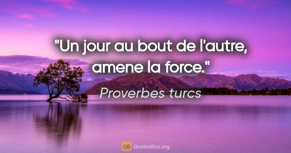 Proverbes turcs citation: "Un jour au bout de l'autre, amene la force."