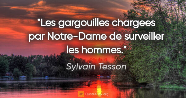 Sylvain Tesson citation: "Les gargouilles chargees par Notre-Dame de surveiller les hommes."