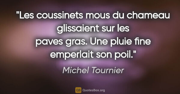Michel Tournier citation: "Les coussinets mous du chameau glissaient sur les paves gras...."
