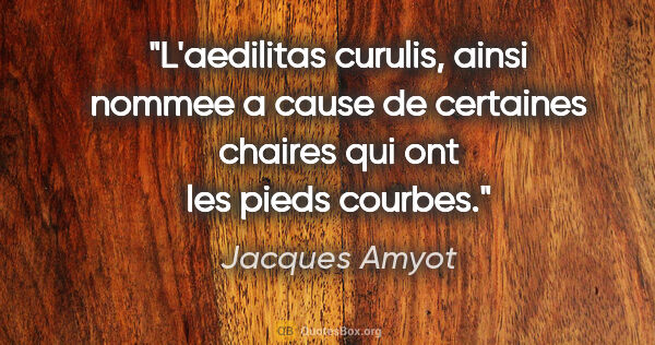 Jacques Amyot citation: "L'aedilitas curulis, ainsi nommee a cause de certaines chaires..."