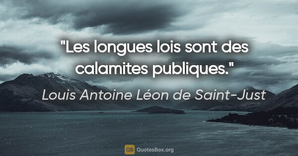 Louis Antoine Léon de Saint-Just citation: "Les longues lois sont des calamites publiques."