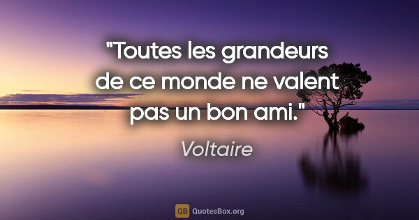 Voltaire citation: "Toutes les grandeurs de ce monde ne valent pas un bon ami."