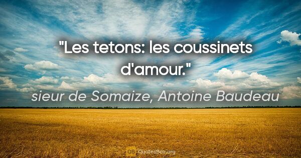 sieur de Somaize, Antoine Baudeau citation: "Les tetons: les coussinets d'amour."