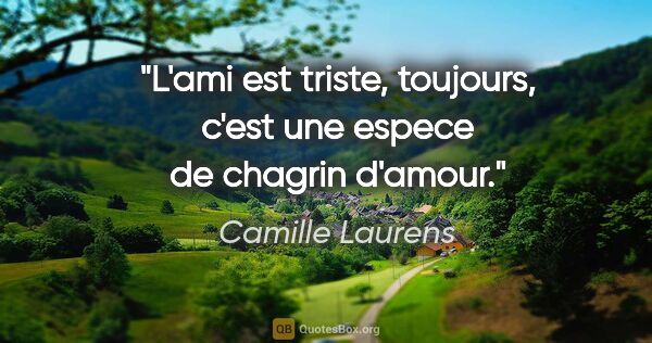 Camille Laurens citation: "L'ami est triste, toujours, c'est une espece de chagrin d'amour."