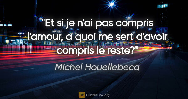 Michel Houellebecq citation: "Et si je n'ai pas compris l'amour, a quoi me sert d'avoir..."