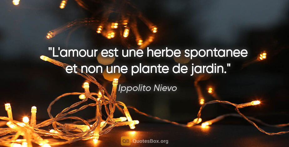 Ippolito Nievo citation: "L'amour est une herbe spontanee et non une plante de jardin."