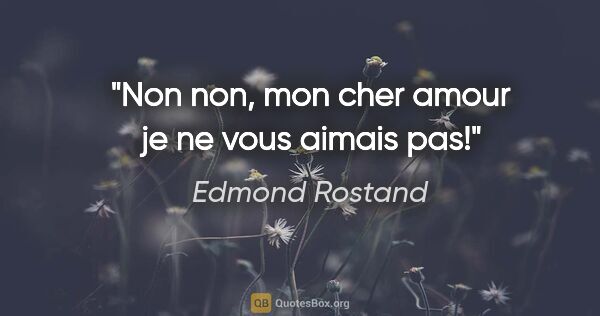 Edmond Rostand citation: "Non non, mon cher amour je ne vous aimais pas!"