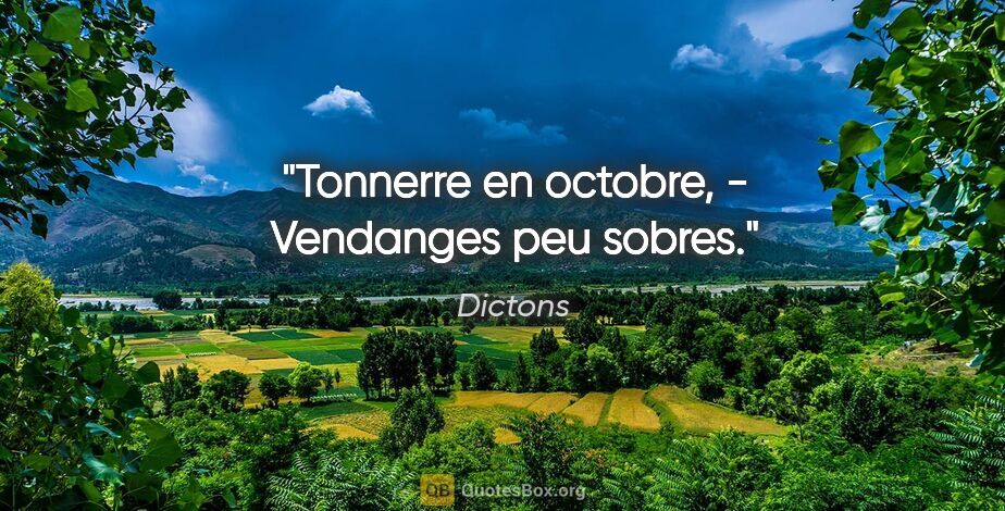 Dictons citation: "Tonnerre en octobre, - Vendanges peu sobres."