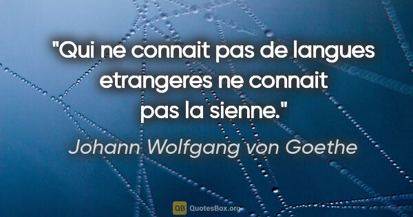 Johann Wolfgang von Goethe citation: "Qui ne connait pas de langues etrangeres ne connait pas la..."