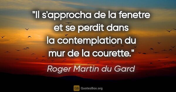 Roger Martin du Gard citation: "Il s'approcha de la fenetre et se perdit dans la contemplation..."