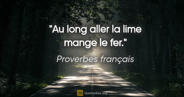 Proverbes français citation: "Au long aller la lime mange le fer."