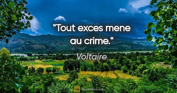 Voltaire citation: "Tout exces mene au crime."