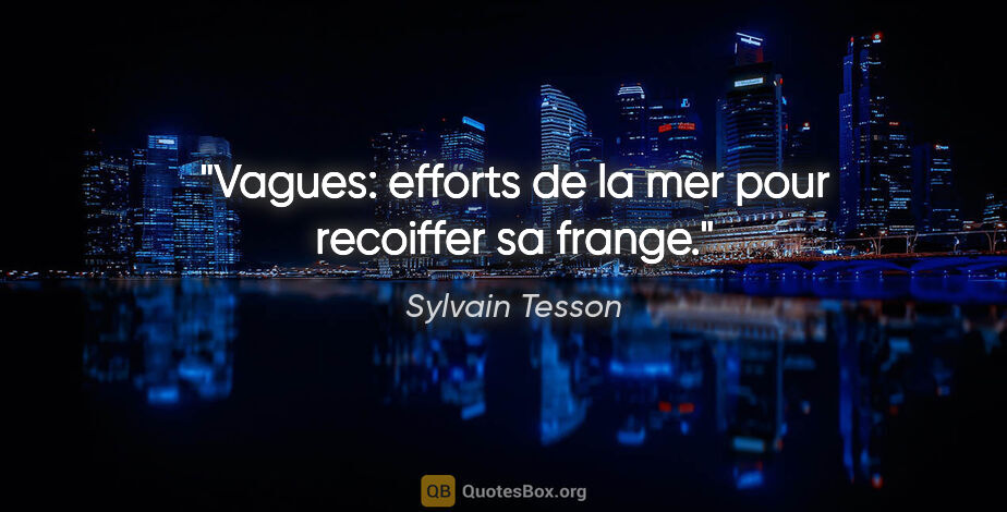 Sylvain Tesson citation: "Vagues: efforts de la mer pour recoiffer sa frange."