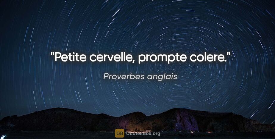 Proverbes anglais citation: "Petite cervelle, prompte colere."