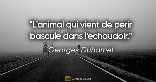 Georges Duhamel citation: "L'animal qui vient de perir bascule dans l'echaudoir."