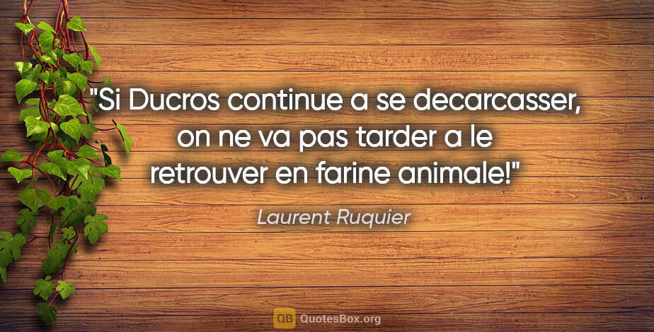 Laurent Ruquier citation: "Si Ducros continue a se decarcasser, on ne va pas tarder a le..."