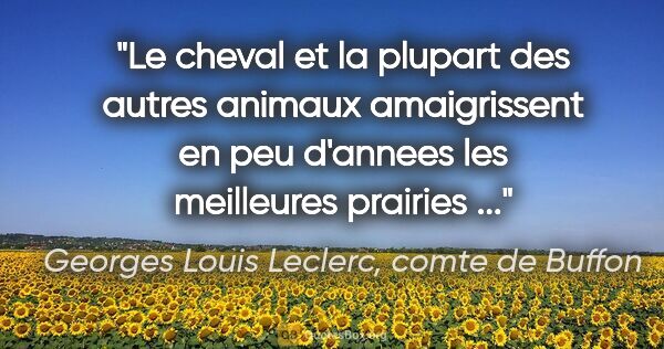 Georges Louis Leclerc, comte de Buffon citation: "Le cheval et la plupart des autres animaux amaigrissent en peu..."