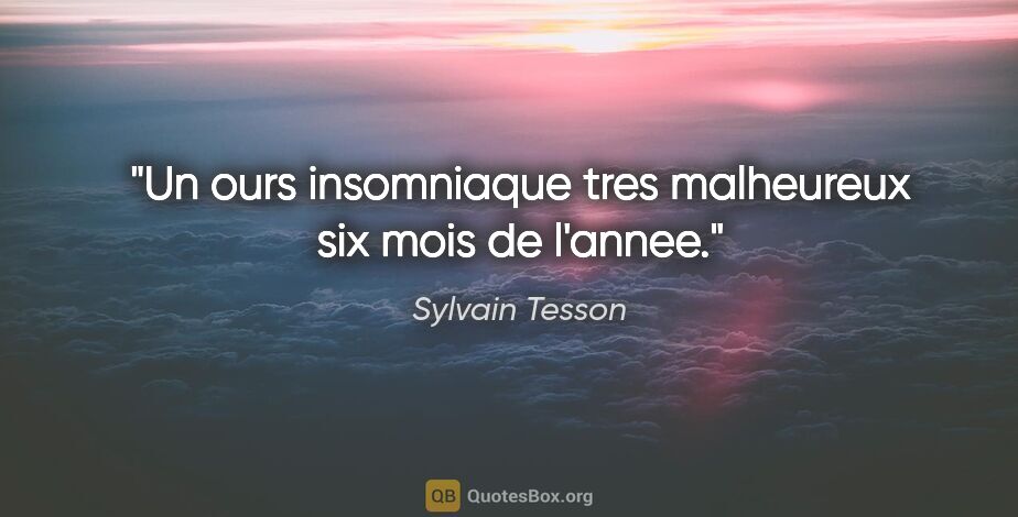 Sylvain Tesson citation: "Un ours insomniaque tres malheureux six mois de l'annee."