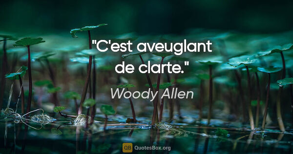 Woody Allen citation: "C'est aveuglant de clarte."