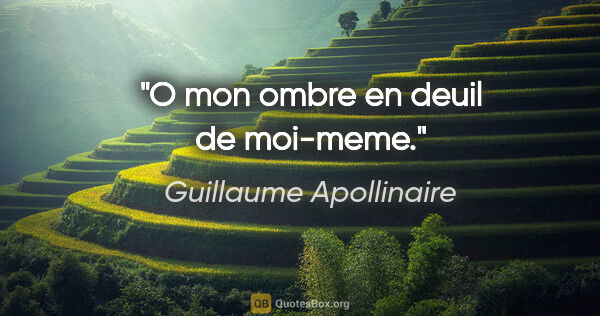 Guillaume Apollinaire citation: "O mon ombre en deuil de moi-meme."