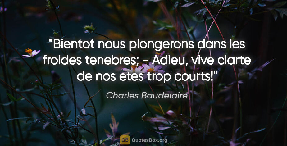 Charles Baudelaire citation: "Bientot nous plongerons dans les froides tenebres; - Adieu,..."
