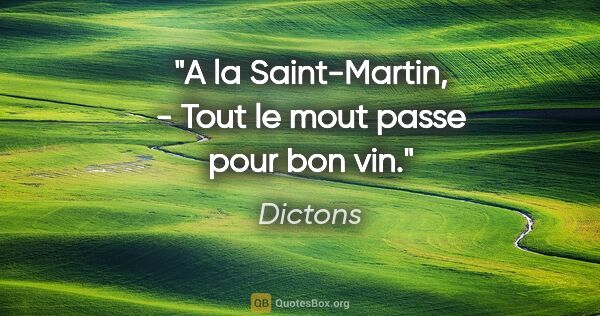 Dictons citation: "A la Saint-Martin, - Tout le mout passe pour bon vin."