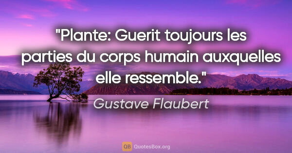 Gustave Flaubert citation: "Plante: Guerit toujours les parties du corps humain auxquelles..."