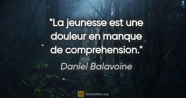 Daniel Balavoine citation: "La jeunesse est une douleur en manque de comprehension."