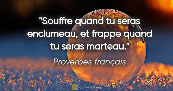 Proverbes français citation: "Souffre quand tu seras enclumeau, et frappe quand tu seras..."