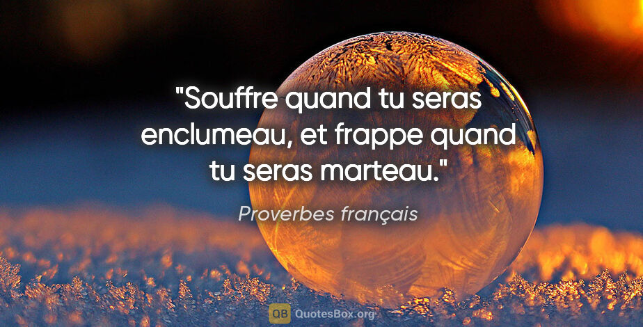 Proverbes français citation: "Souffre quand tu seras enclumeau, et frappe quand tu seras..."